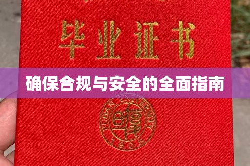 公安确保合规与安全的全面指南
